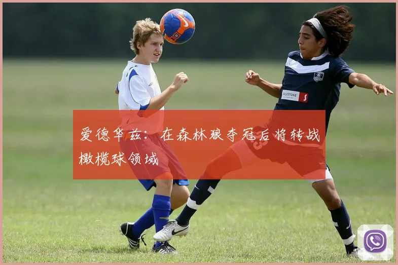爱德华兹：在森林狼夺冠后将转战橄榄球领域